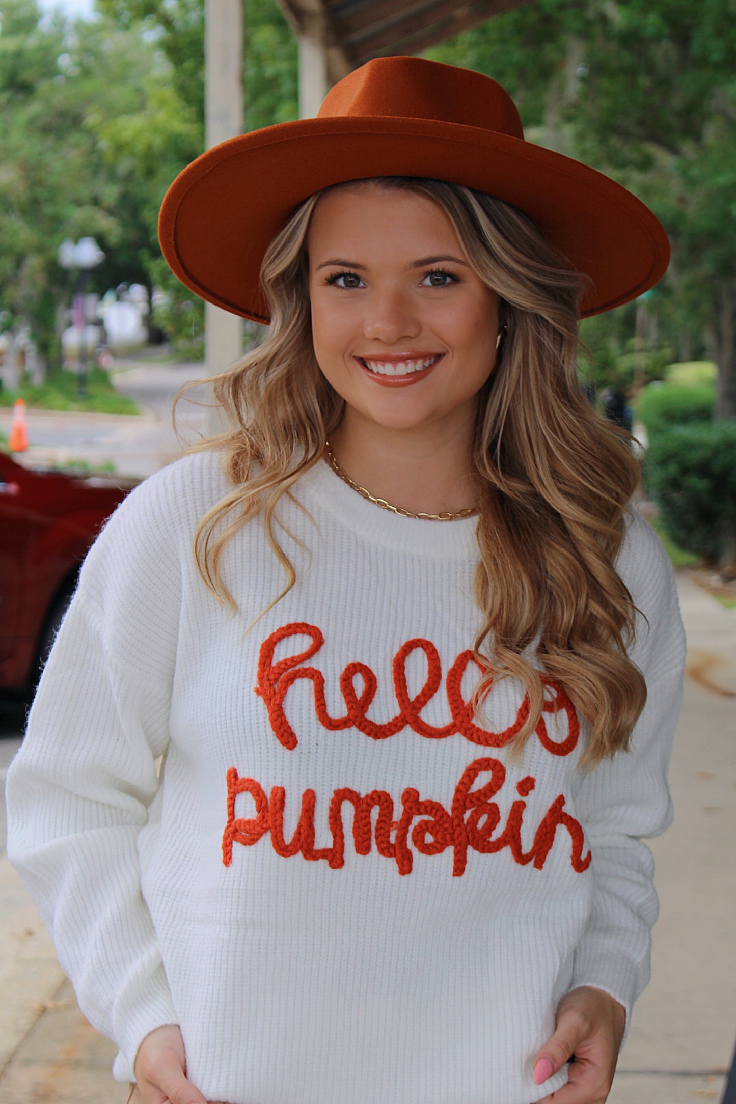 Hello Pumpkin Scripted Sweater