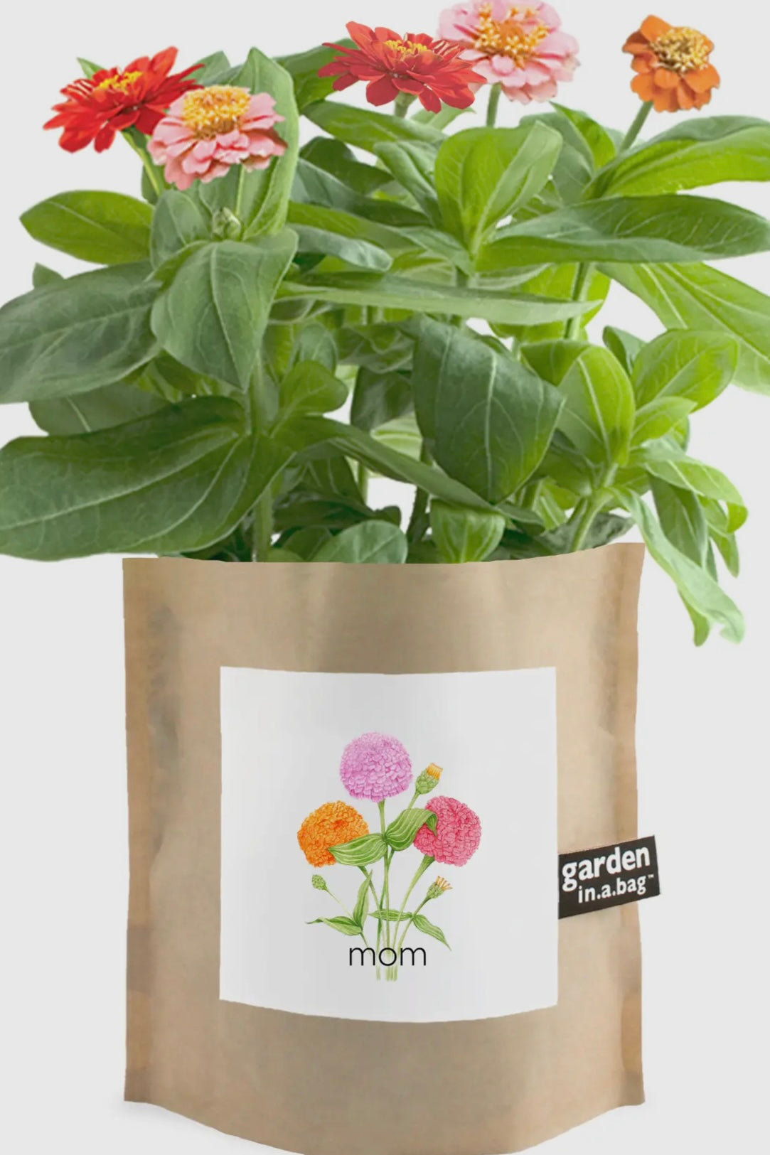 Garden In A Bag- Mom