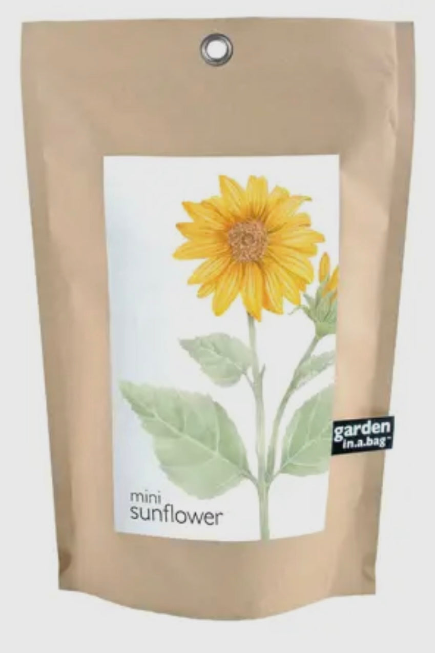 Garden In A Bag- Sunflower