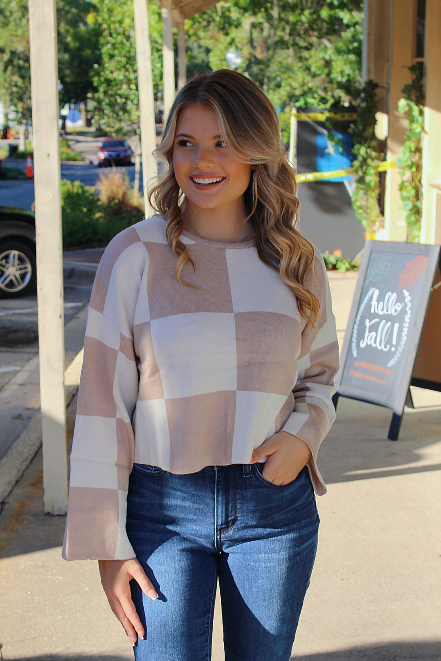 Sarah Checkered Top- Neutral