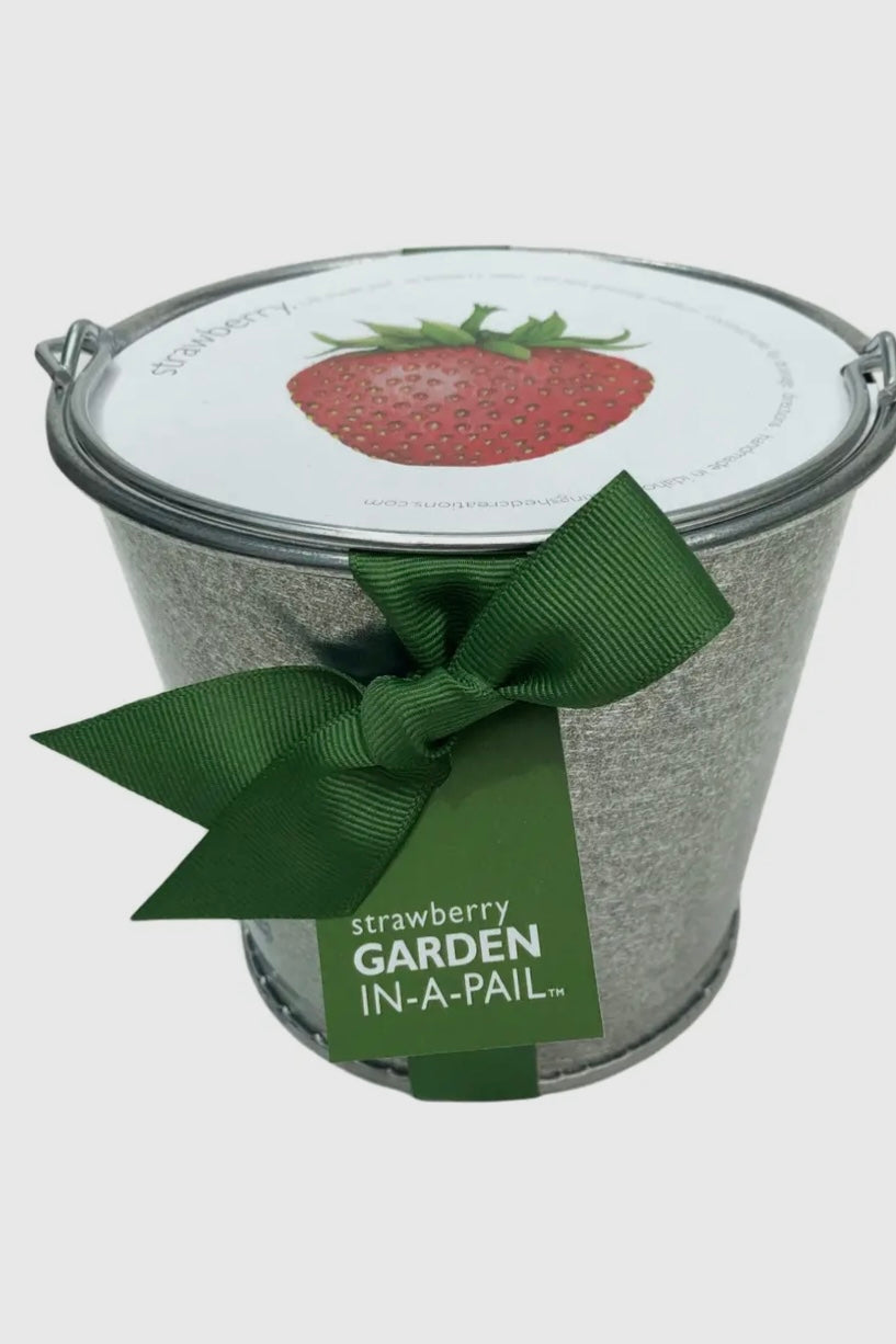 Garden In A Pail- Strawberry