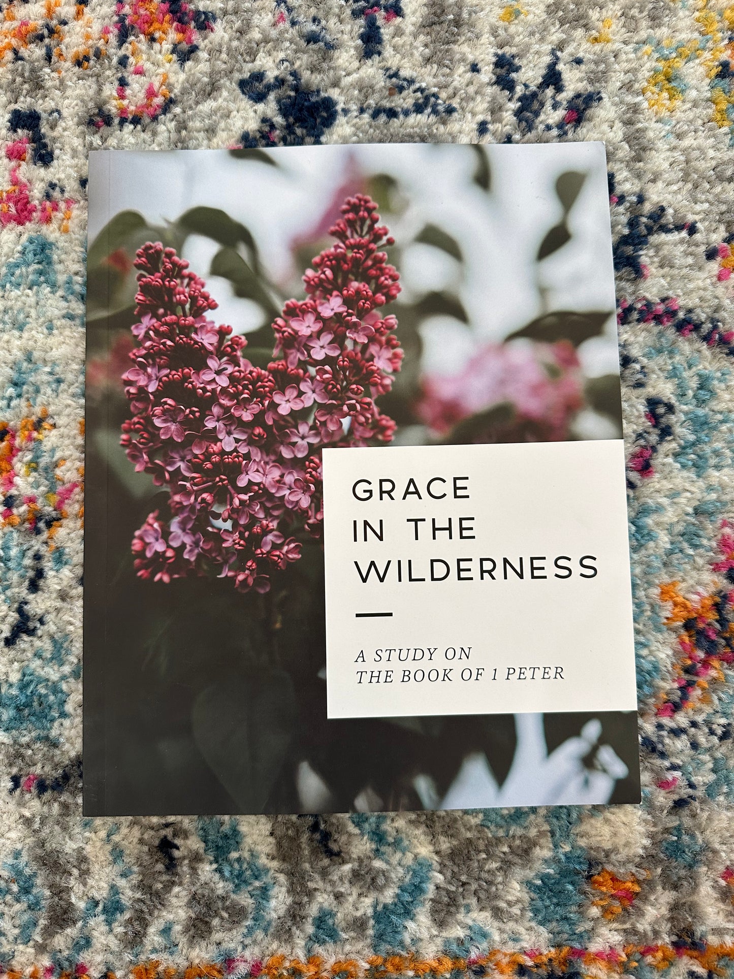 Grace in the Wilderness- Study On 1 Peter